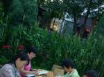 植物、昆虫标本采集