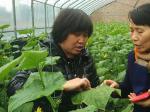 实训电教中心植保相关教师赴永济采集标本